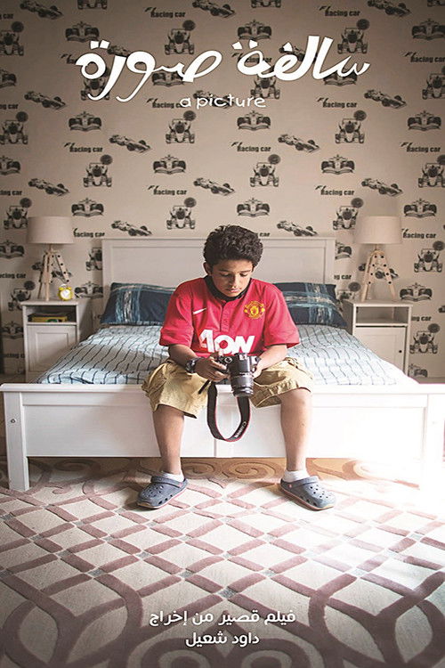 A Picture (2014) poster