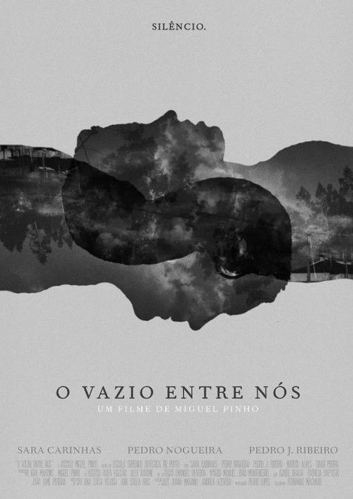 O Vazio Entre Nós (2013) poster