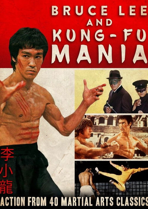 Bruce Lee and Kung Fu Mania (1992) poster