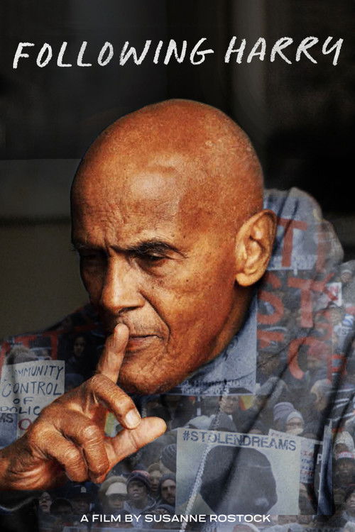 Following Harry (2024) poster