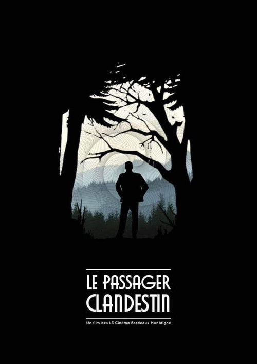 The Stowaway (2024) poster