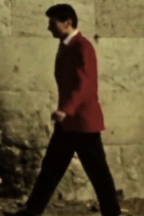 Motion Vision (1967) poster