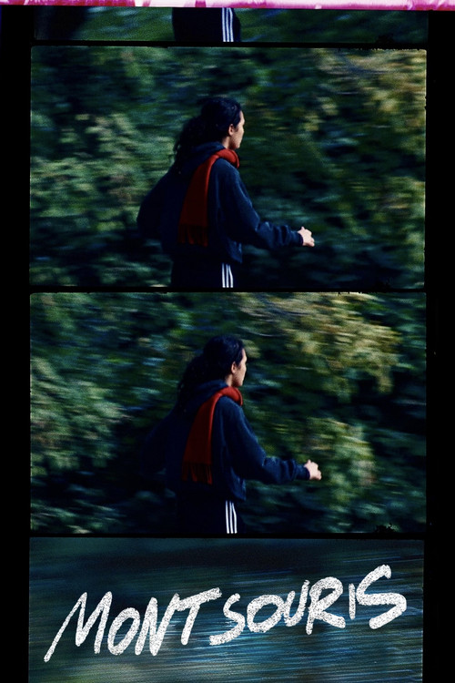 Montsouris Park (2024) poster