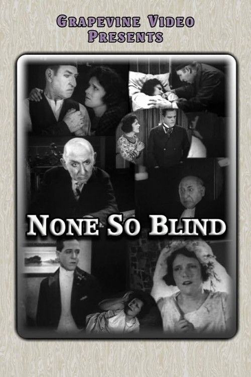 None So Blind (1923) poster
