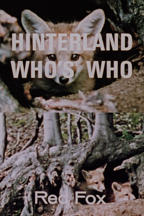 Hinterland Who's Who: Red Fox (1967) poster