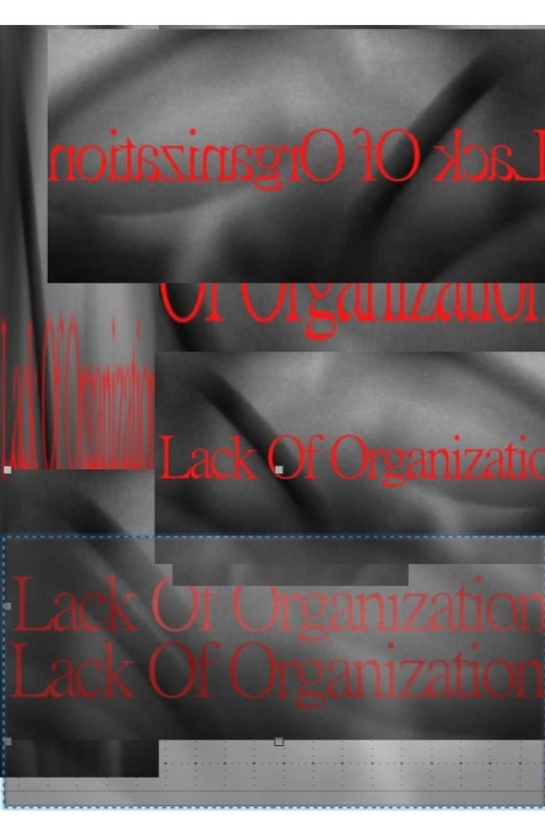 Lack of Organization (2024) poster
