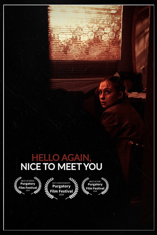 Hello Again, Nice To Meet You (2024) poster