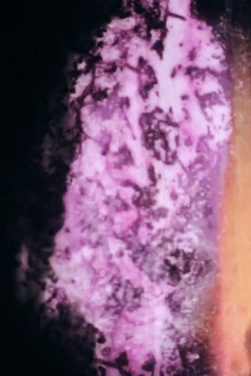 exclamation (2018) poster