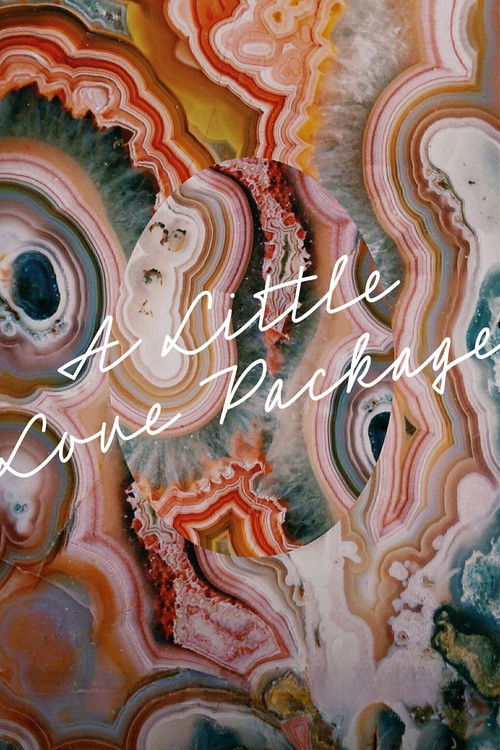 A Little Love Package (2022) poster