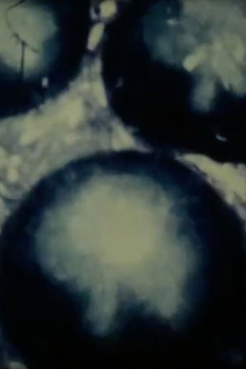 Three Preparations (1972) poster