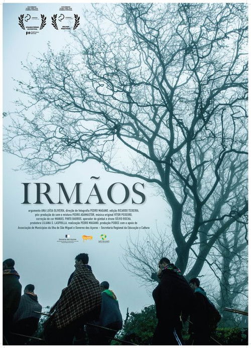Irmãos (2015) poster