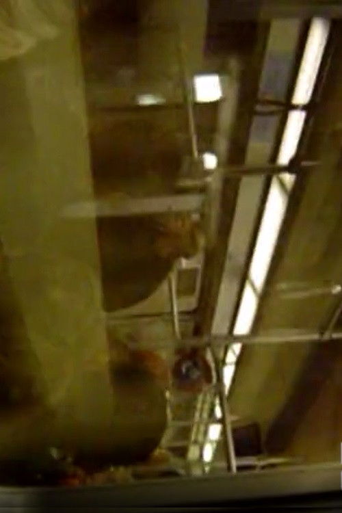 This is my heart (2004) poster