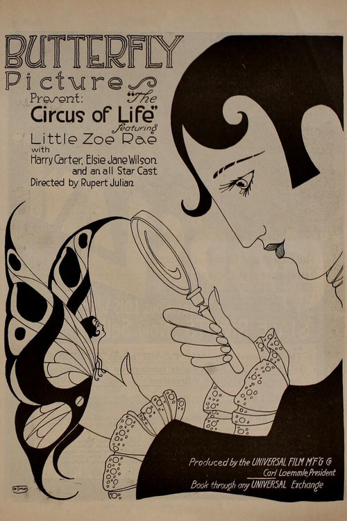 The Circus of Life (1917) poster