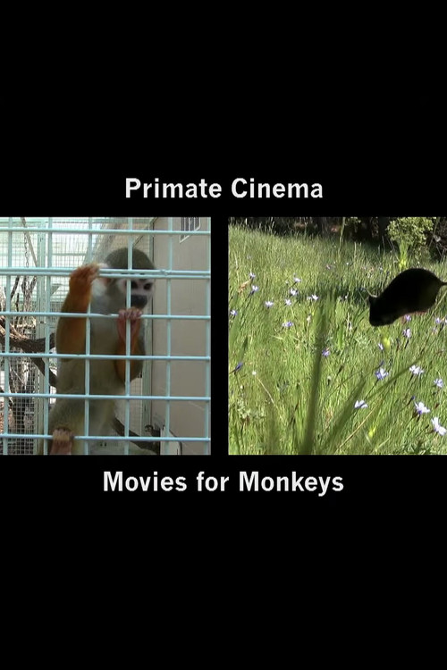 Primate Cinema: Movies for Monkeys (2014) poster