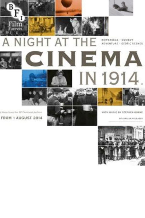 A Night at the Cinema in 1914 (2014) poster