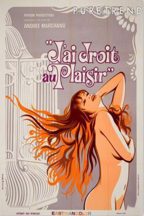J’ai droit au Plaisir (1976) poster