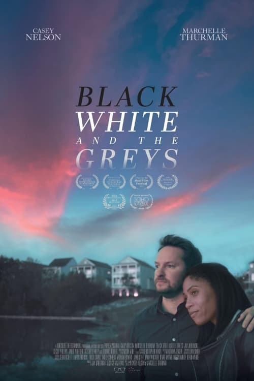 Black White and the Greys (2023) poster