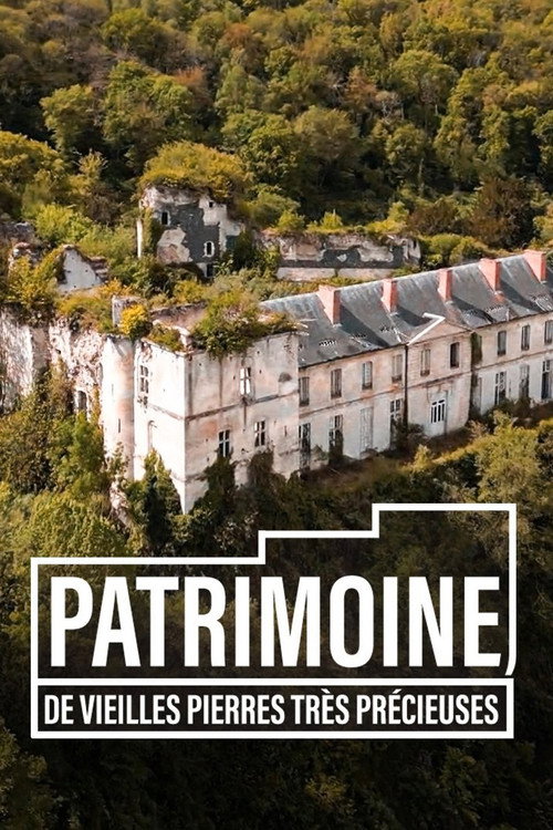 Patrimoine, de vieilles pierres très précieuses (2023) poster