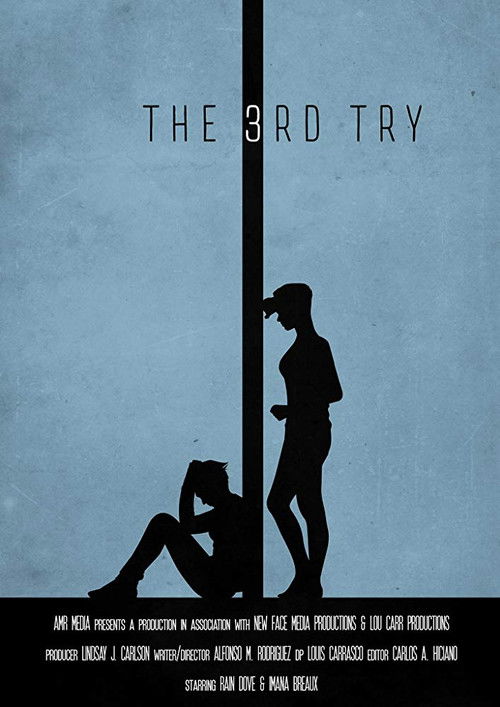 The 3rd Try (2017) poster