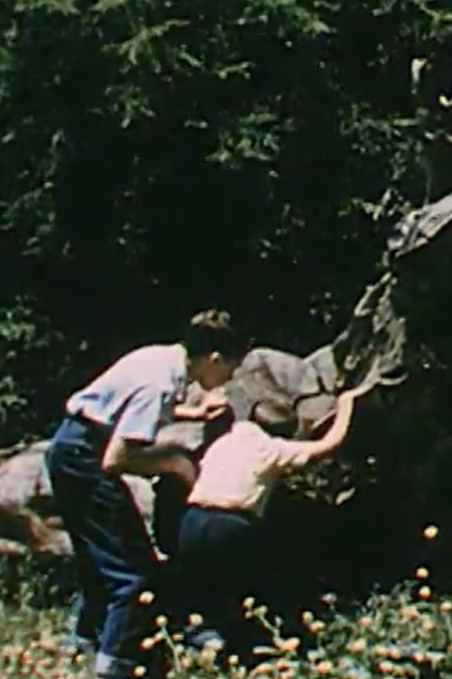 Life On a Dead Tree (1957) poster