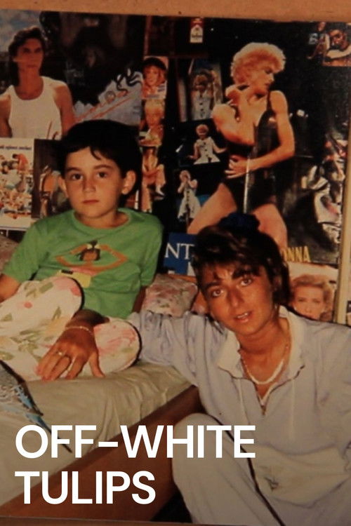 Kırık Beyaz Laleler (2013) poster