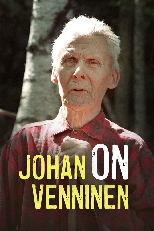 Johan on Venninen (1997) poster