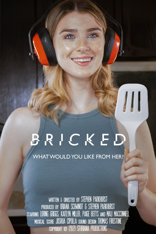 Bricked poster