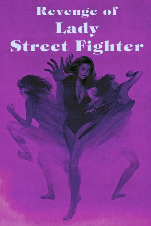 Revenge of Lady Street Fighter (1990) poster