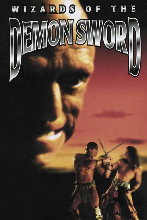 Wizards of the Demon Sword (1991) poster