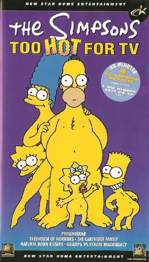 The Simpsons: Too Hot For TV (1999) poster