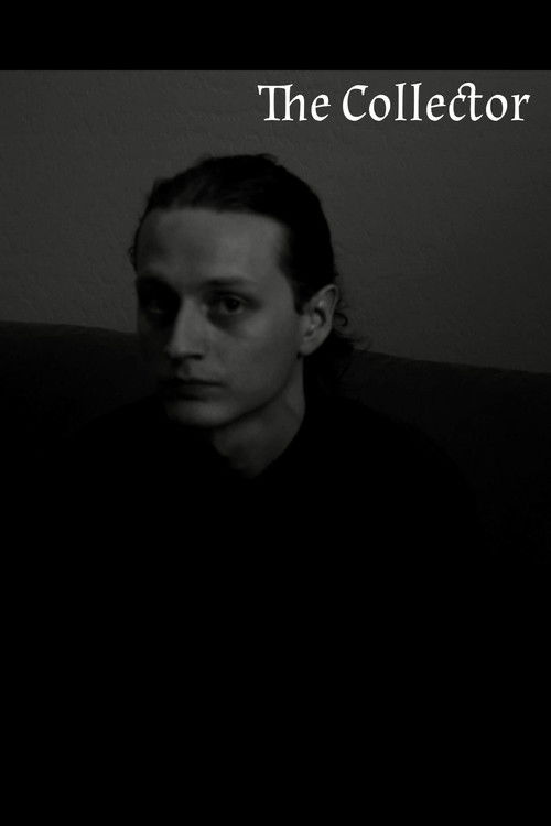 The Collector poster