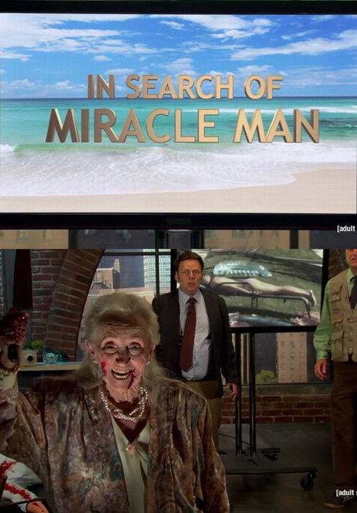In Search of Miracle Man (2014) poster