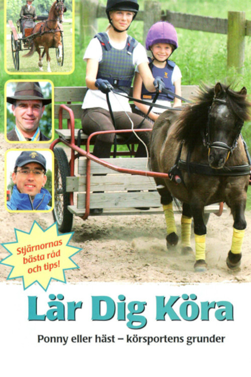 Lär dig köra (2007) poster