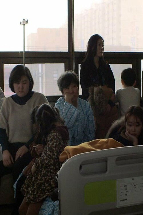 Birds Fly Back to the Nest (2016) poster