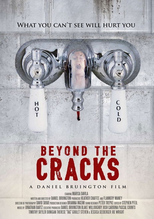Beyond the Cracks (2019) poster