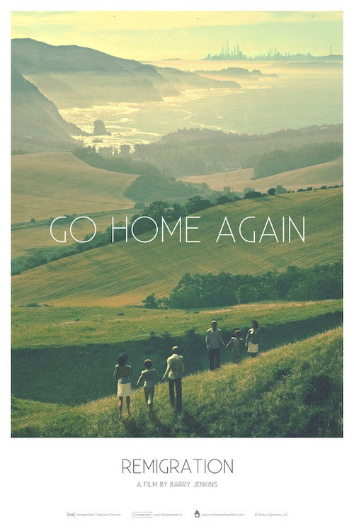 Remigration (2011) poster