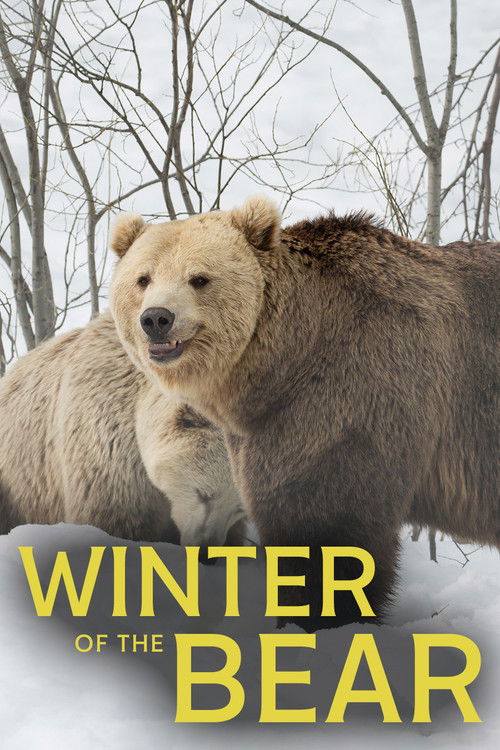 Winter of the Bear (2025) poster