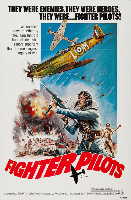 Fighter Pilots (1975) poster