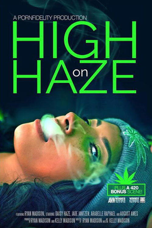 High On Haze (2015) poster