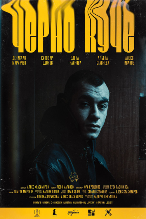 Черно Куче (2025) poster