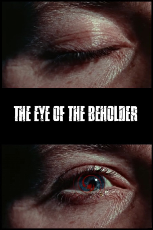 The Eye of the Beholder (2005) poster