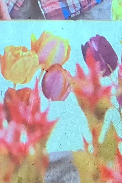 jolies fleurs une vie meilleure (2024) poster