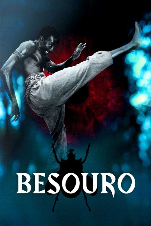 Besouro (2009) poster