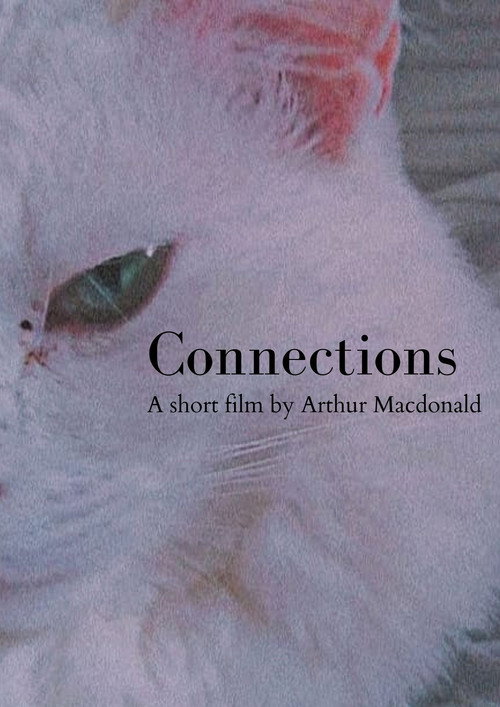 Connections (2021) poster