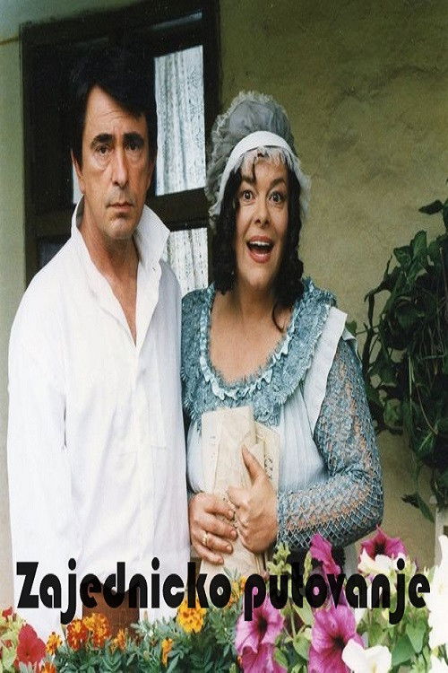 A Joint Journey (2002) poster