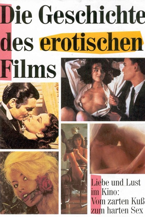 The Story of Erotic Film (2004) poster