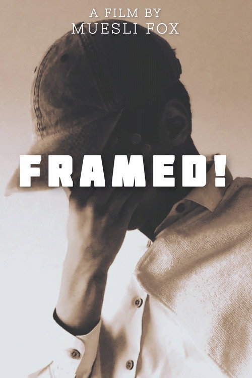 Framed! (2021) poster