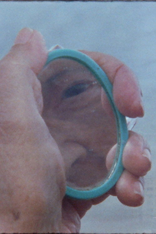 Aparição (2024) poster