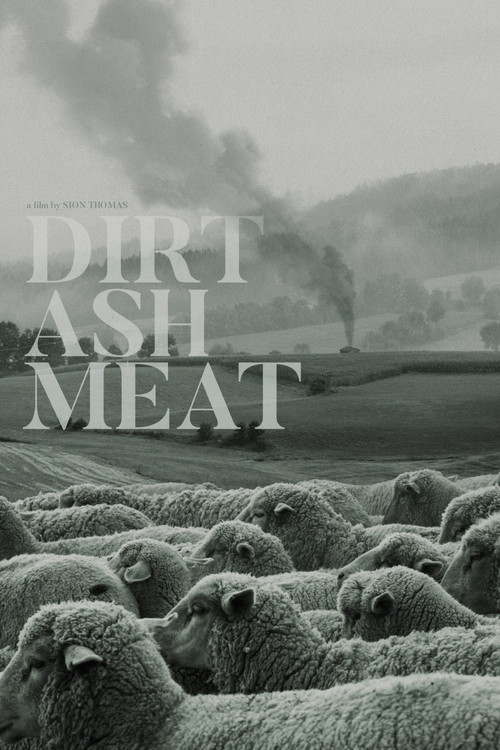 Dirt Ash Meat (2019) poster