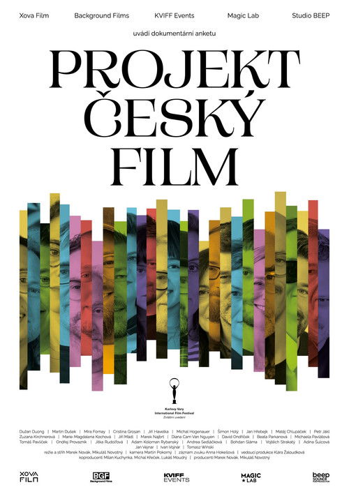Projekt český film (2025) poster